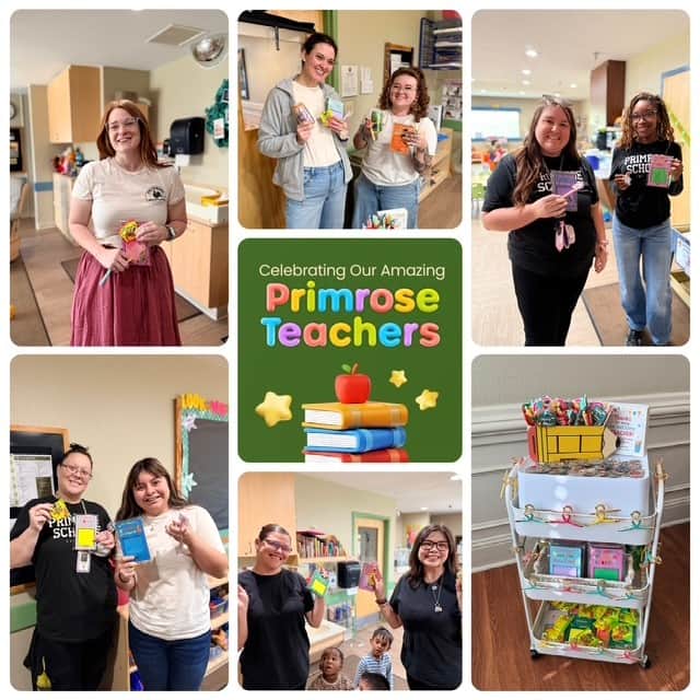 Celebrating Our Primrose Teachers