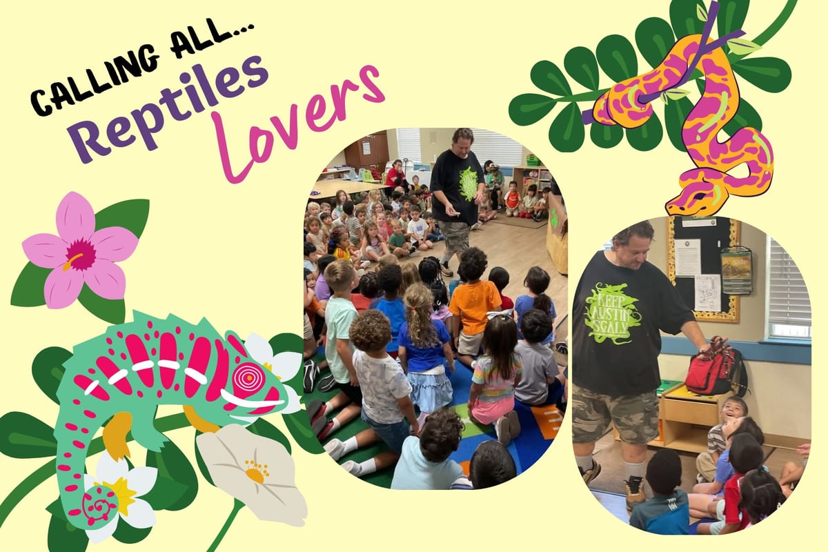 Up Close with Reptiles: A Wild Learning Experience 🐍🐢