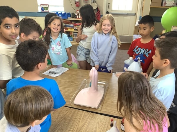 **Project Time: Elephant Toothpaste!** 🧪
