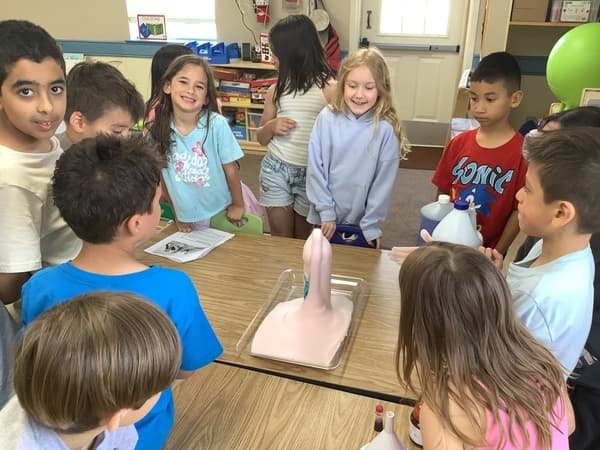 **Project Time: Elephant Toothpaste!** 🧪