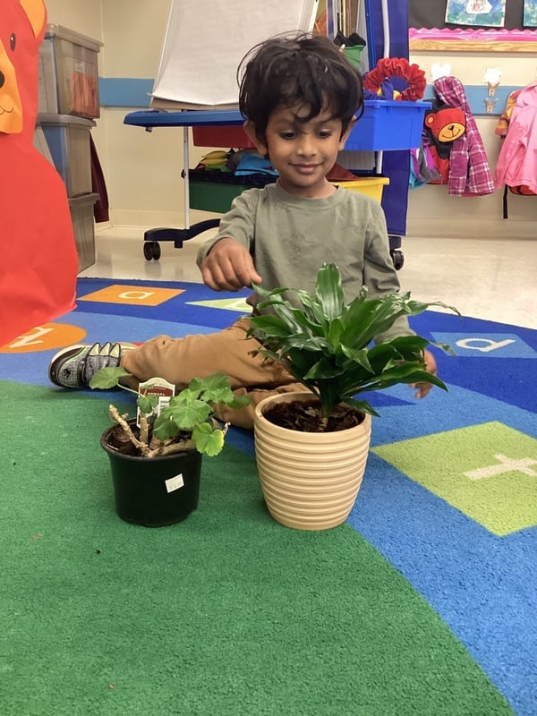 Preschool