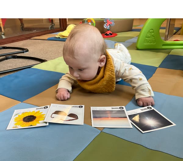 baby looking at pictures