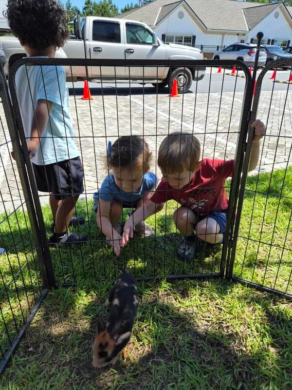 Petting Zoo