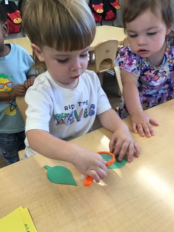 Young boy using a magnefying glass to observe plant parts while a girl watches at a classroom table.