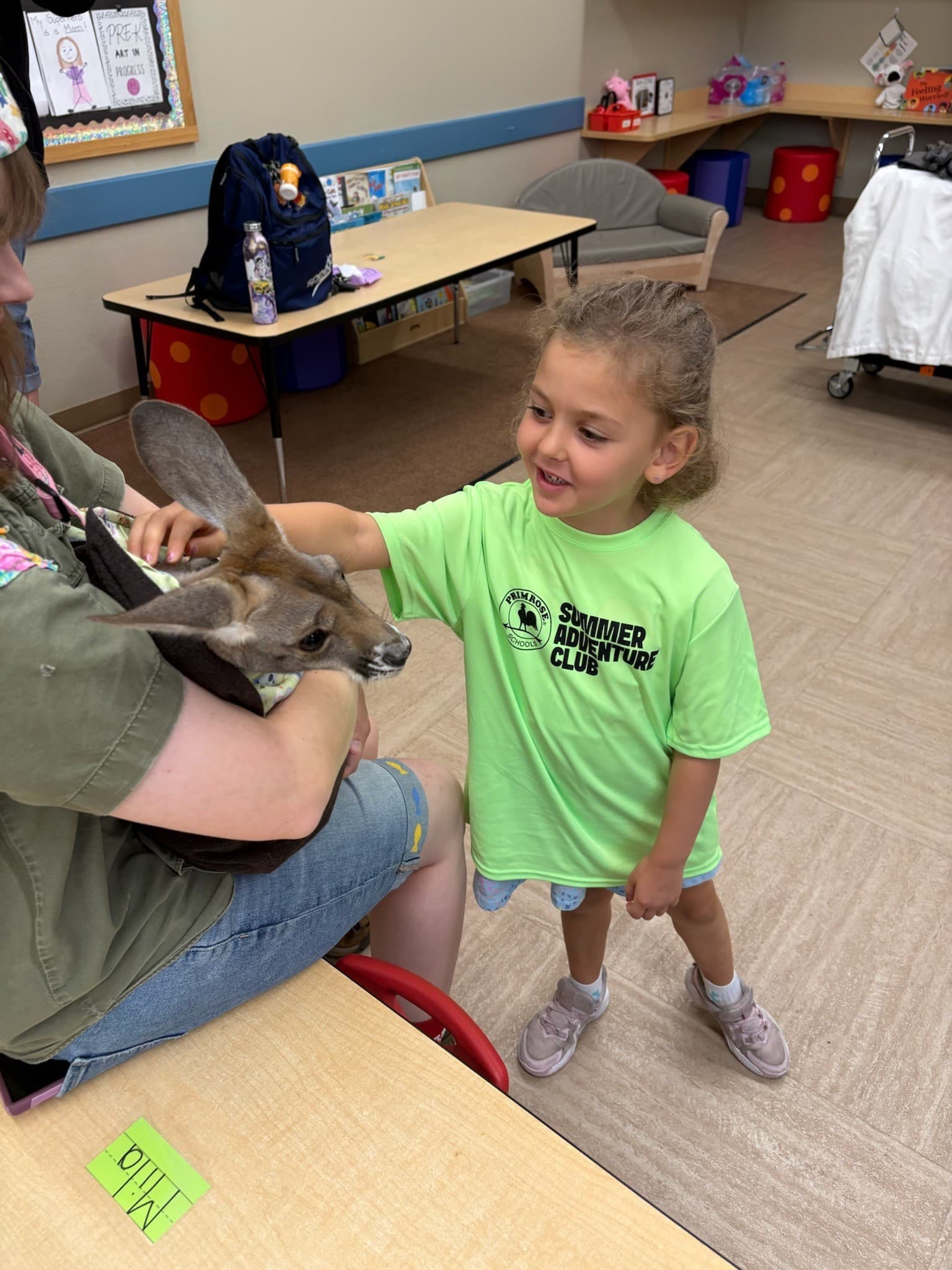 In School Field Trip. Learning about kangaroos. It was so soft!