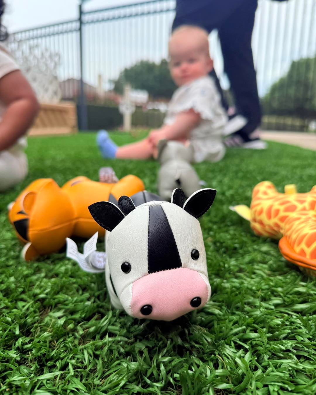 Infant Care in Dallas