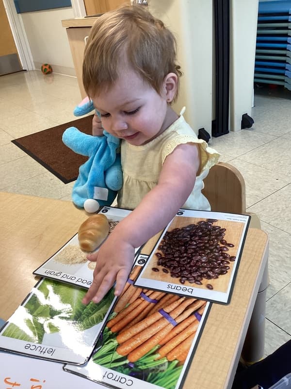Young child engaging in a food-themed learning activity at Primrose School, developing vocabulary, recognition skills, and sensory exploration.