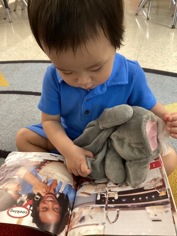 character development program: citizenship