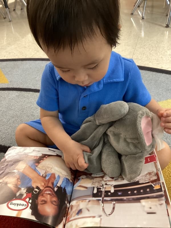 character development program: citizenship