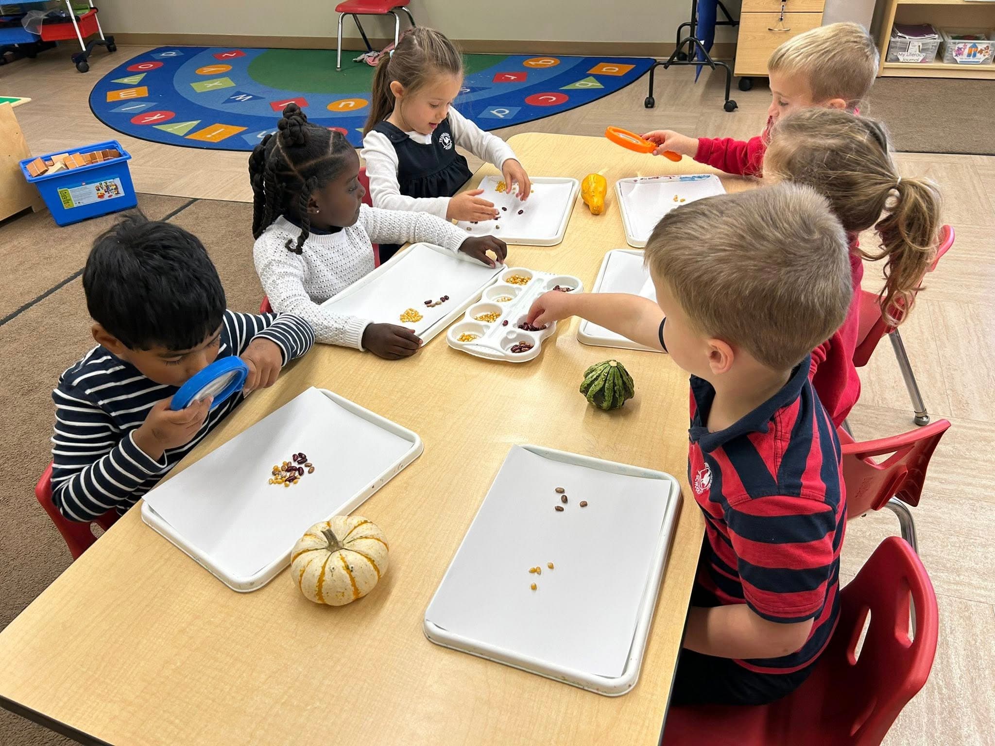 children looking at different corn, beans, and squash.