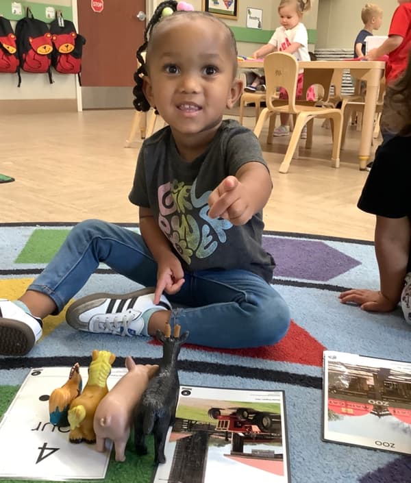 Preschool child engaging in hands-on learning with animal figurines and matching photo cards on a colorful classroom rug at Primrose School of NW Fort Worth. Child development, early education, and interactive play in a nurturing preschool environment