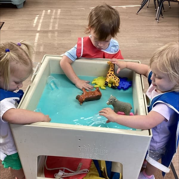 water table