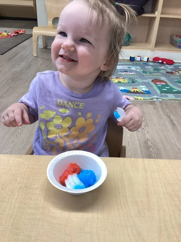 Primrose Childcare Frisco