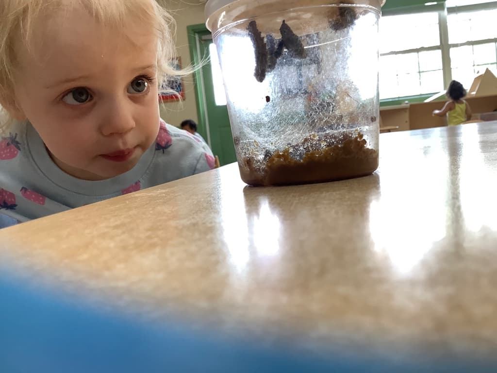 Early Preschool
