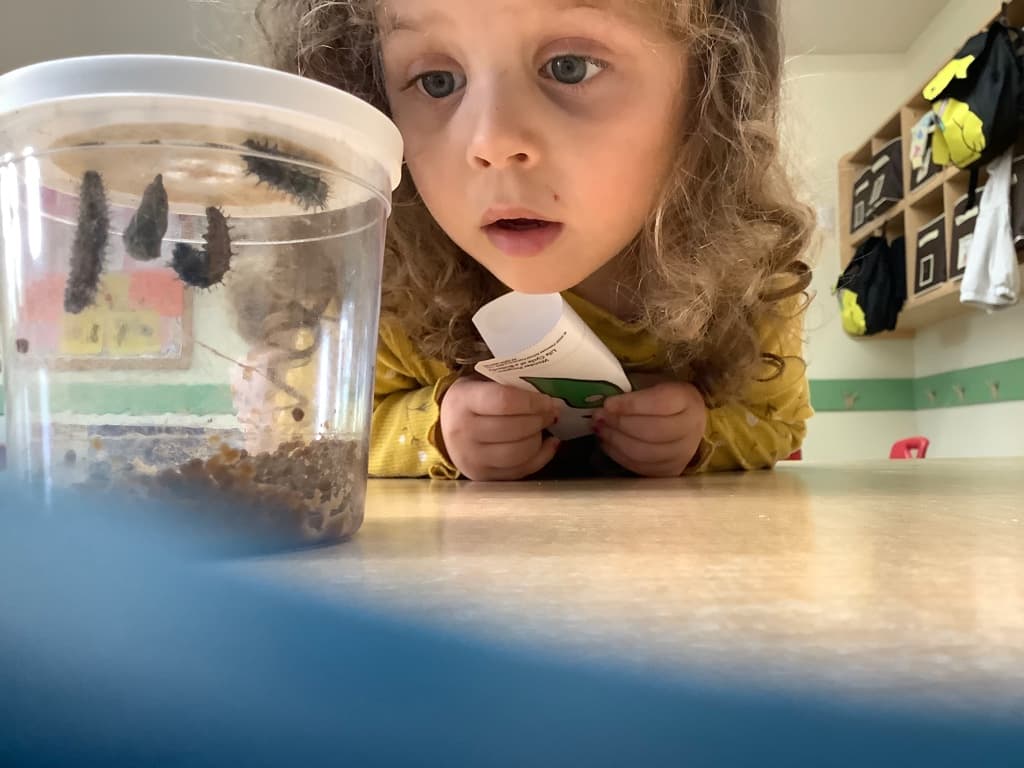 Early Preschool