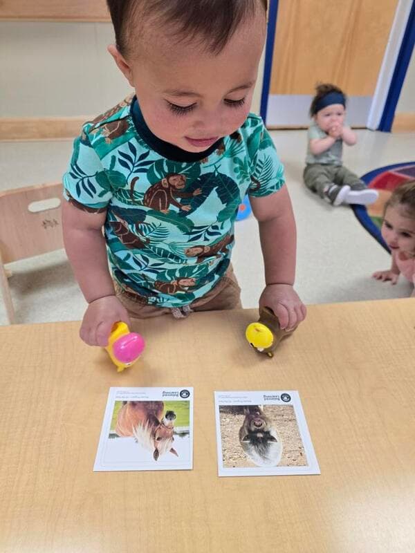 Learning 2
