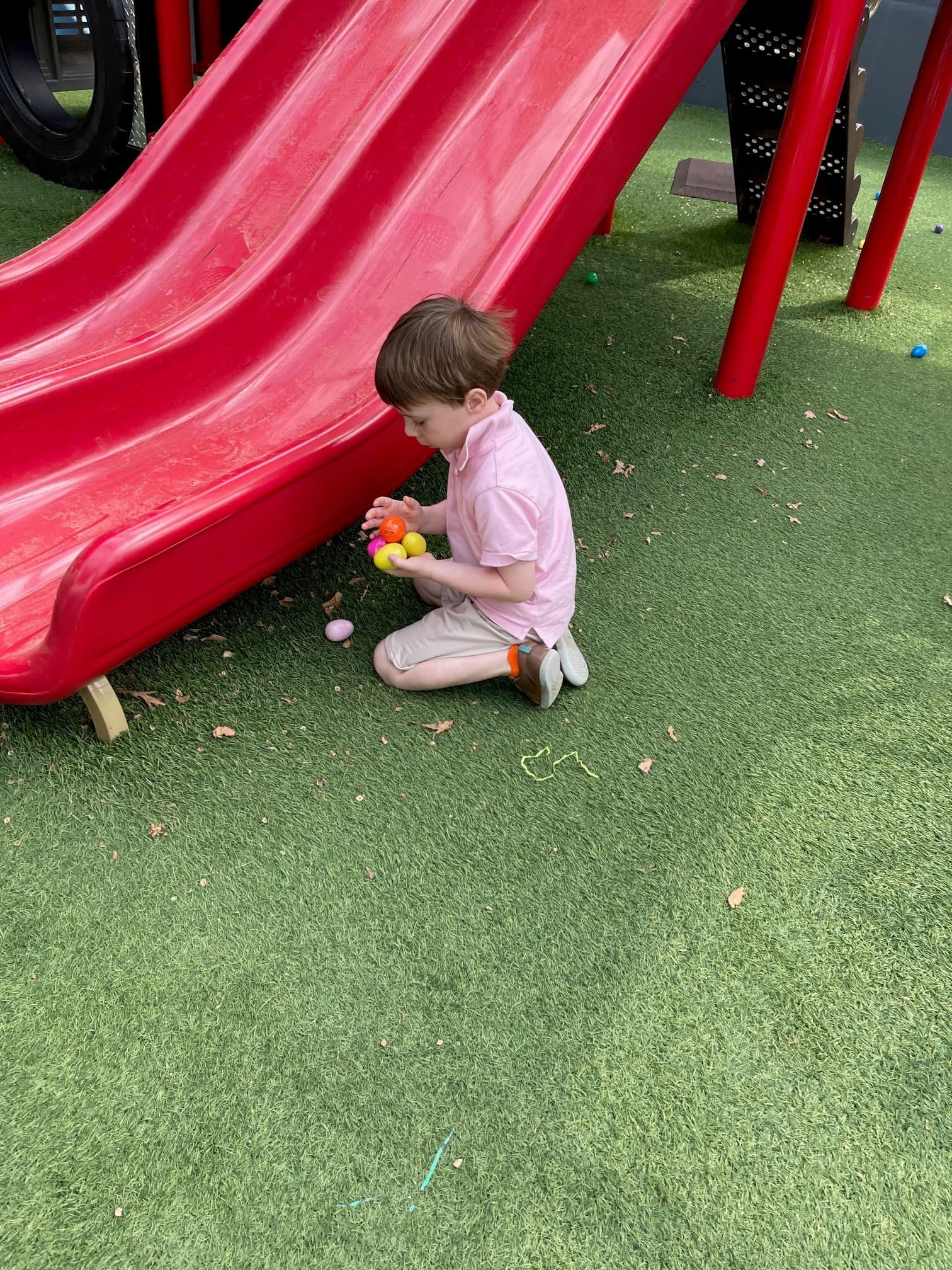 egg hunt