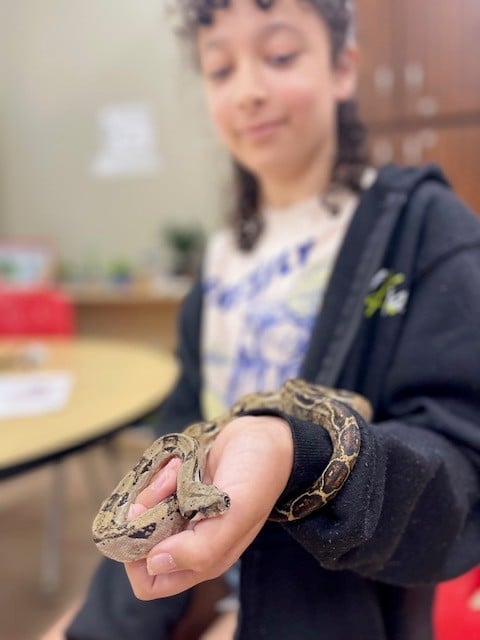 summer adventure club child with snake