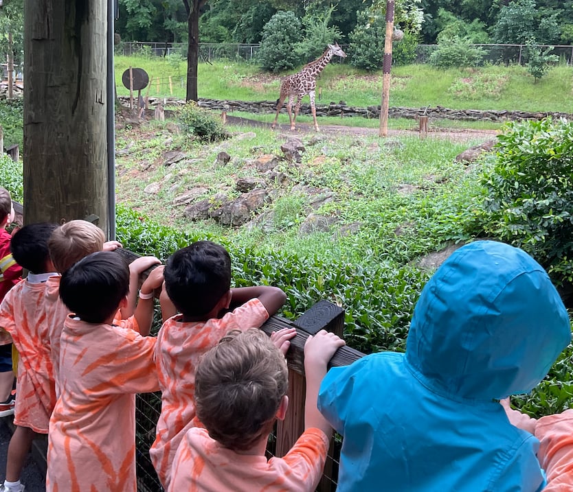 zoo