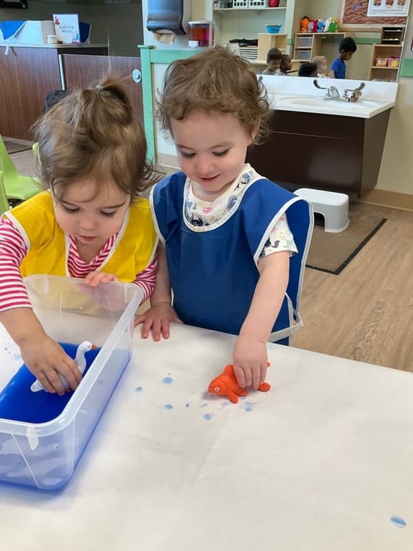 Toddlers playing with water at Primrose Jerome