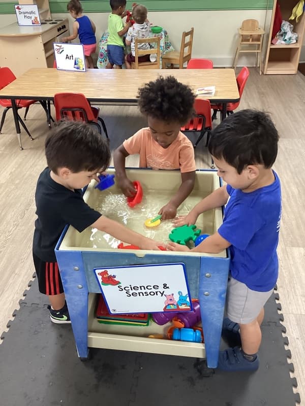 science & sensory