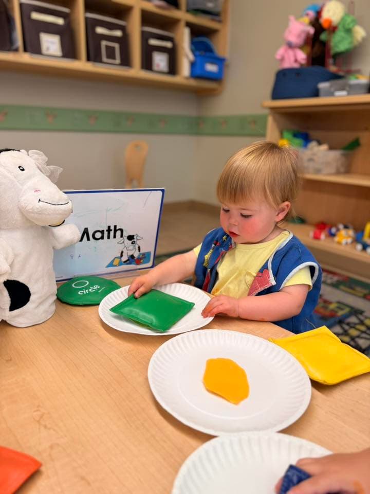 A child sorting bean bags based off of color at the math center.