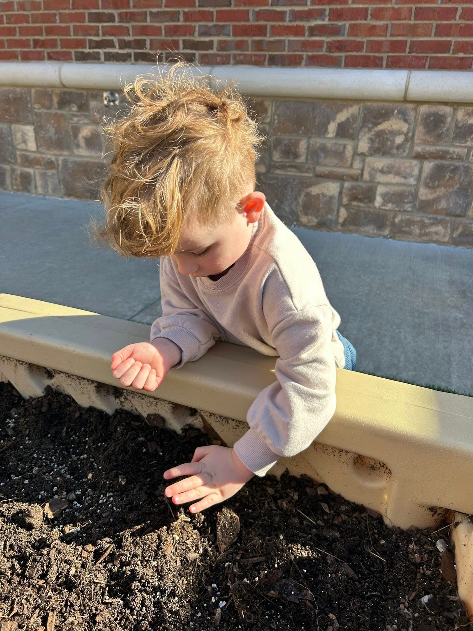 A child planting seeds in a garden