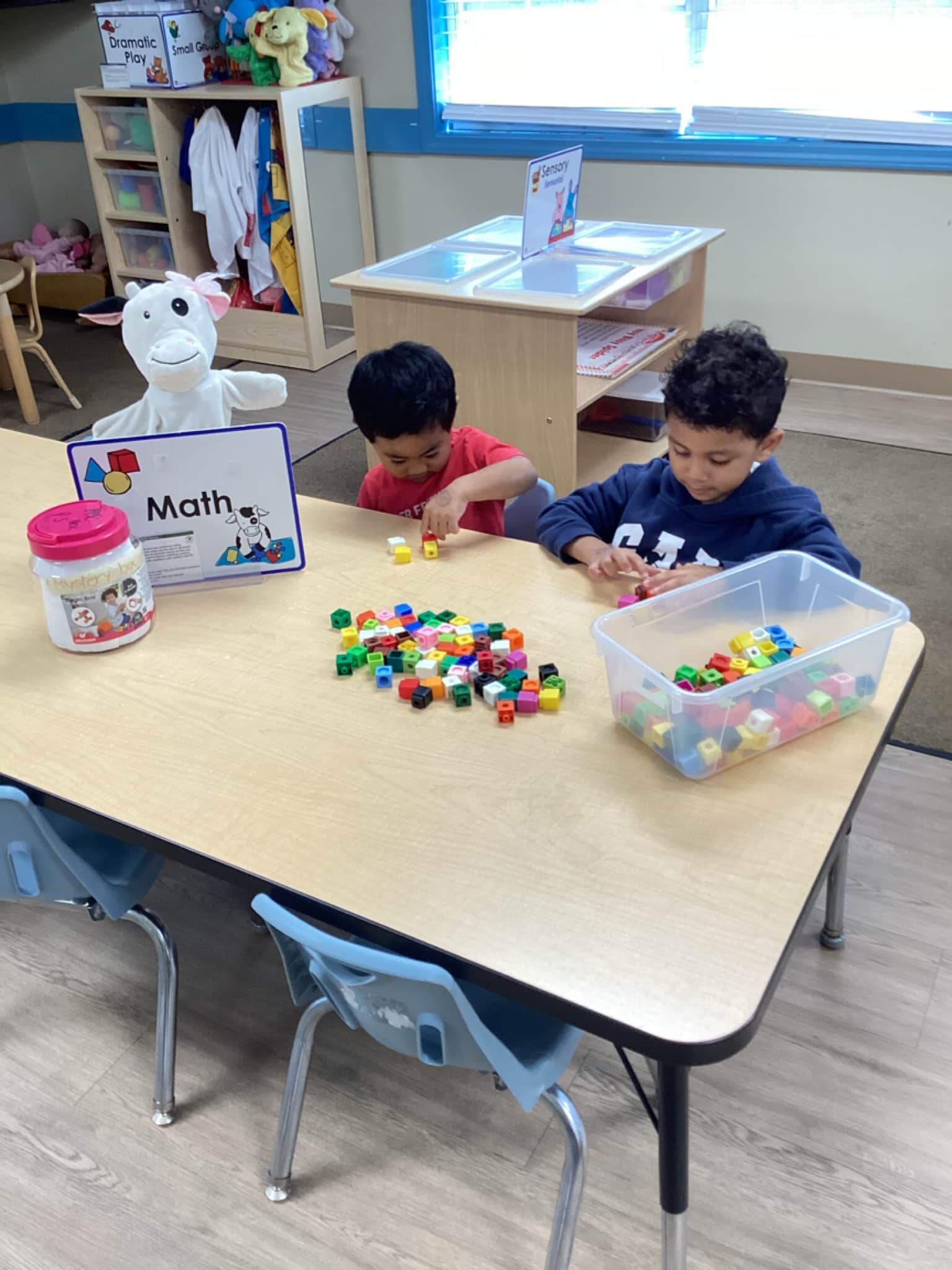 Dividing Helps Us Share!