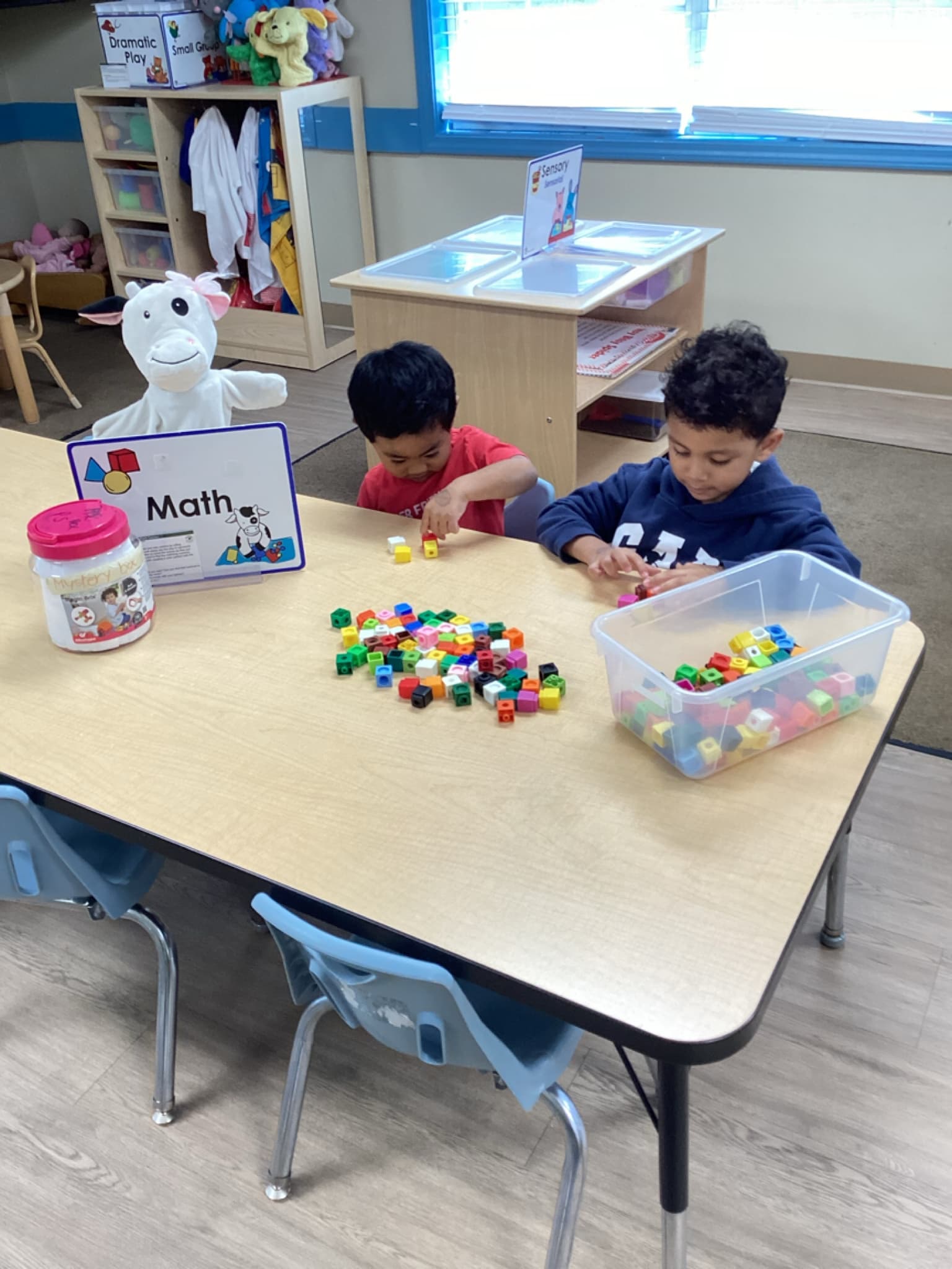 Dividing Helps Us Share!
