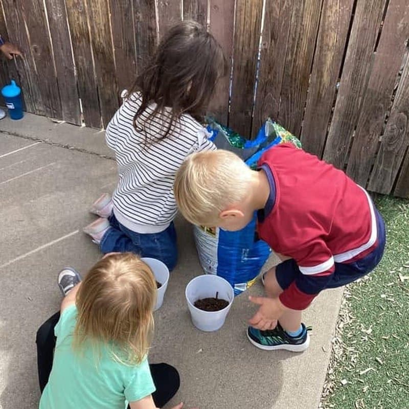 Preschool children exploring gardening and hands-on science activities at Primrose School at Highlands Ranch Business Park in Highlands Ranch, CO.
