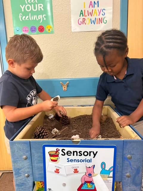 Sensory Center