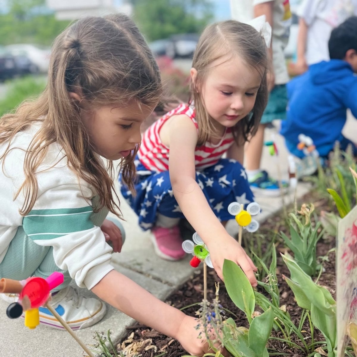 Summer Adventure Club children planting in a flower bed during an outdoor activity at Primrose School of Woburn, MA