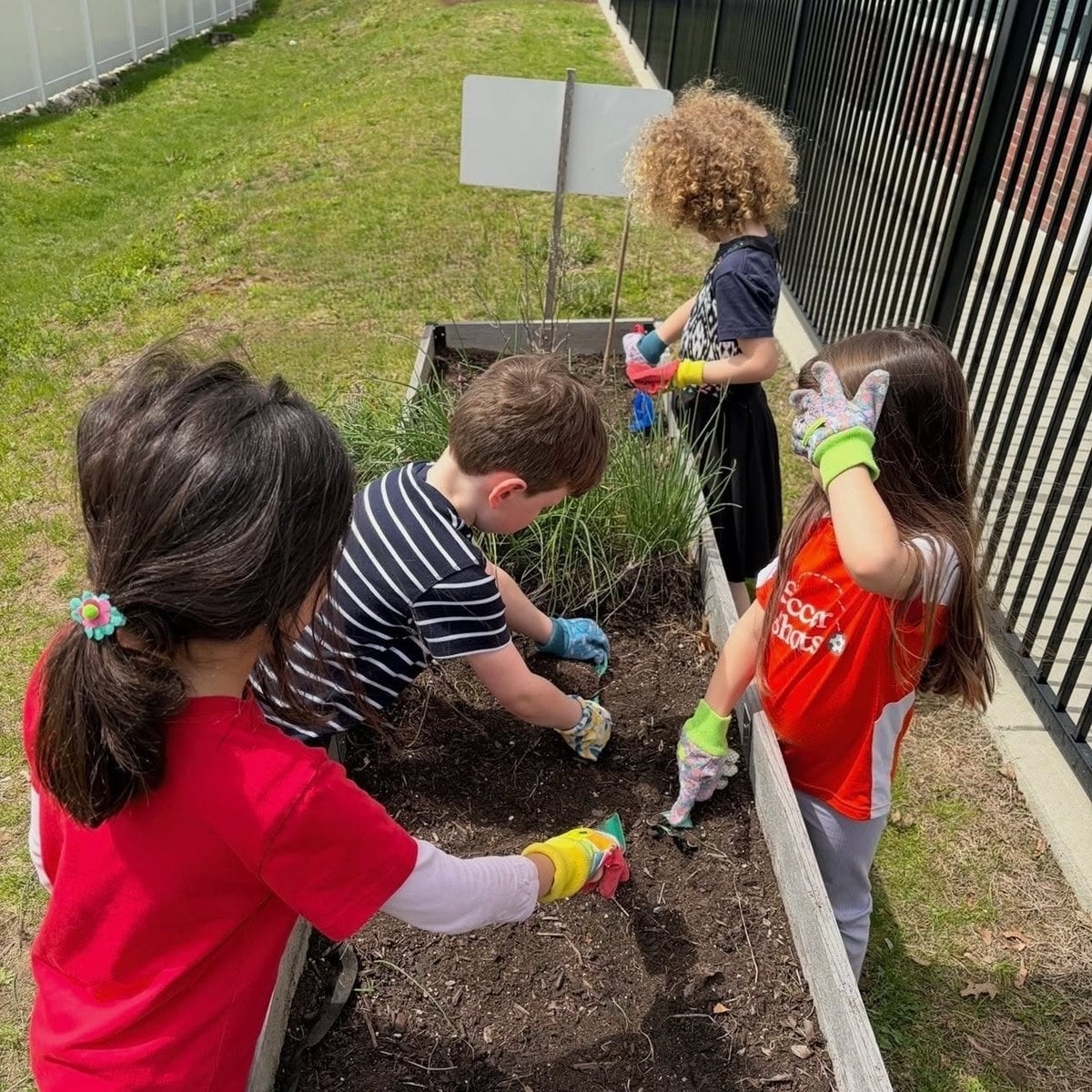 Summer Adventure Club children wearing garden gloves and working together in a raised garden bed at Primrose School of Woburn, MA