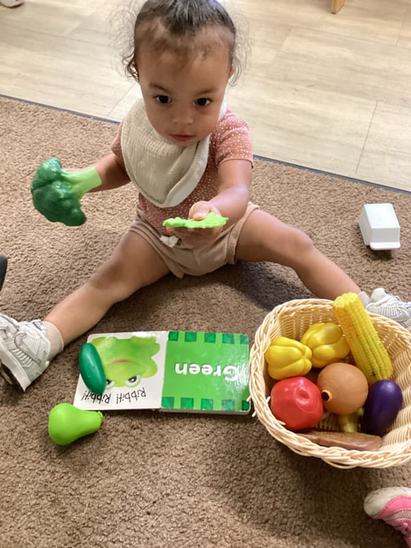toddler classroom, colors, sorting, learning through play
