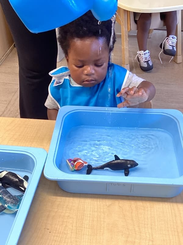 toddler at Primrose School at Summerwood explorers water and animals that swim