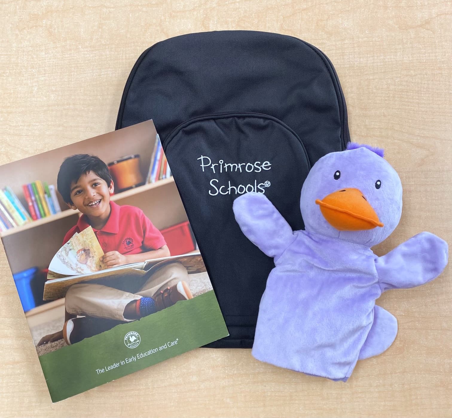 Private Kindergarten Welcome Primrose Castle Hills Carrollton Lewisville Texas Primrose Castle Hills Infant, Preschool, Kindergarten, Daycare, Childcare, Early Education. Carrollton, Lewisville, Dallas, Texas. 75010, 75007, 75056