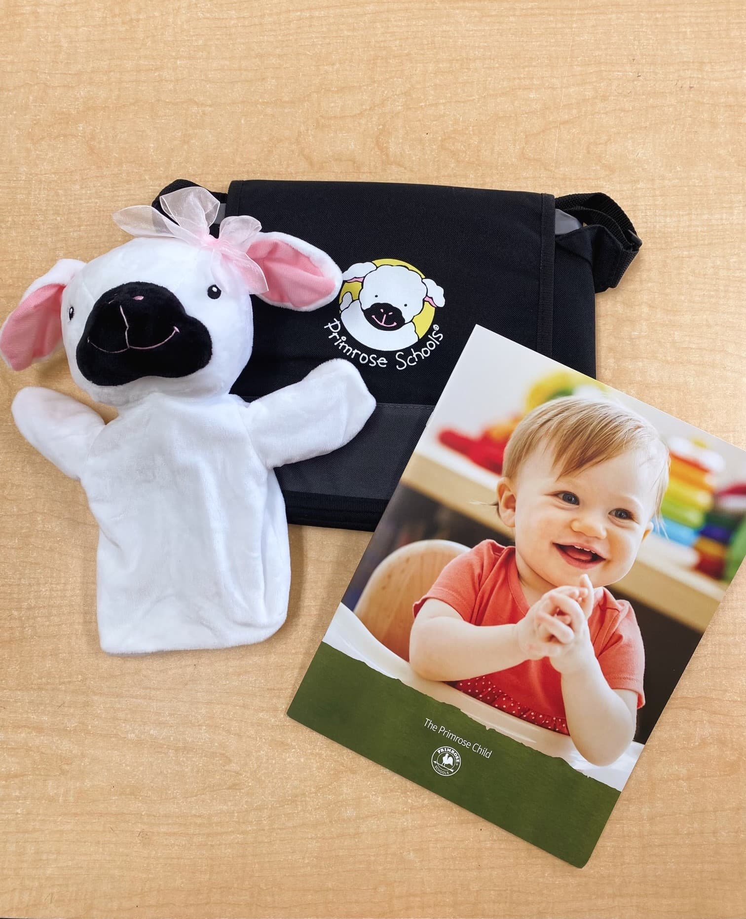Infants Welcome Primrose Castle Hills Carrollton Lewisville Texas Primrose School of Castle Hills Infant, Preschool, Kindergarten, Daycare, Childcare, Early Education. Carrollton, Lewisville, Dallas, Texas. 75010, 75007, 75056s
