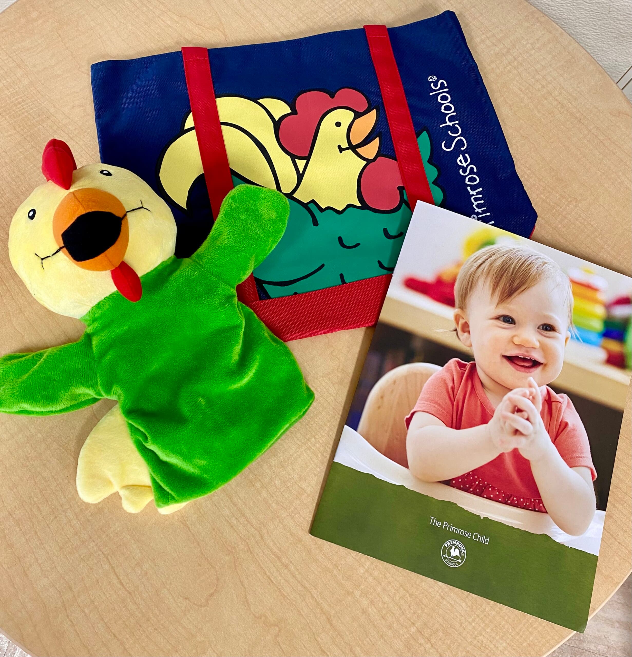 Toddlers Welcome Carrollton Lewisville Texas Primrose Castle Hills Infant, Preschool, Kindergarten, Daycare, Childcare, Early Education. Carrollton, Lewisville, Dallas, Texas. 75010, 75007, 75056