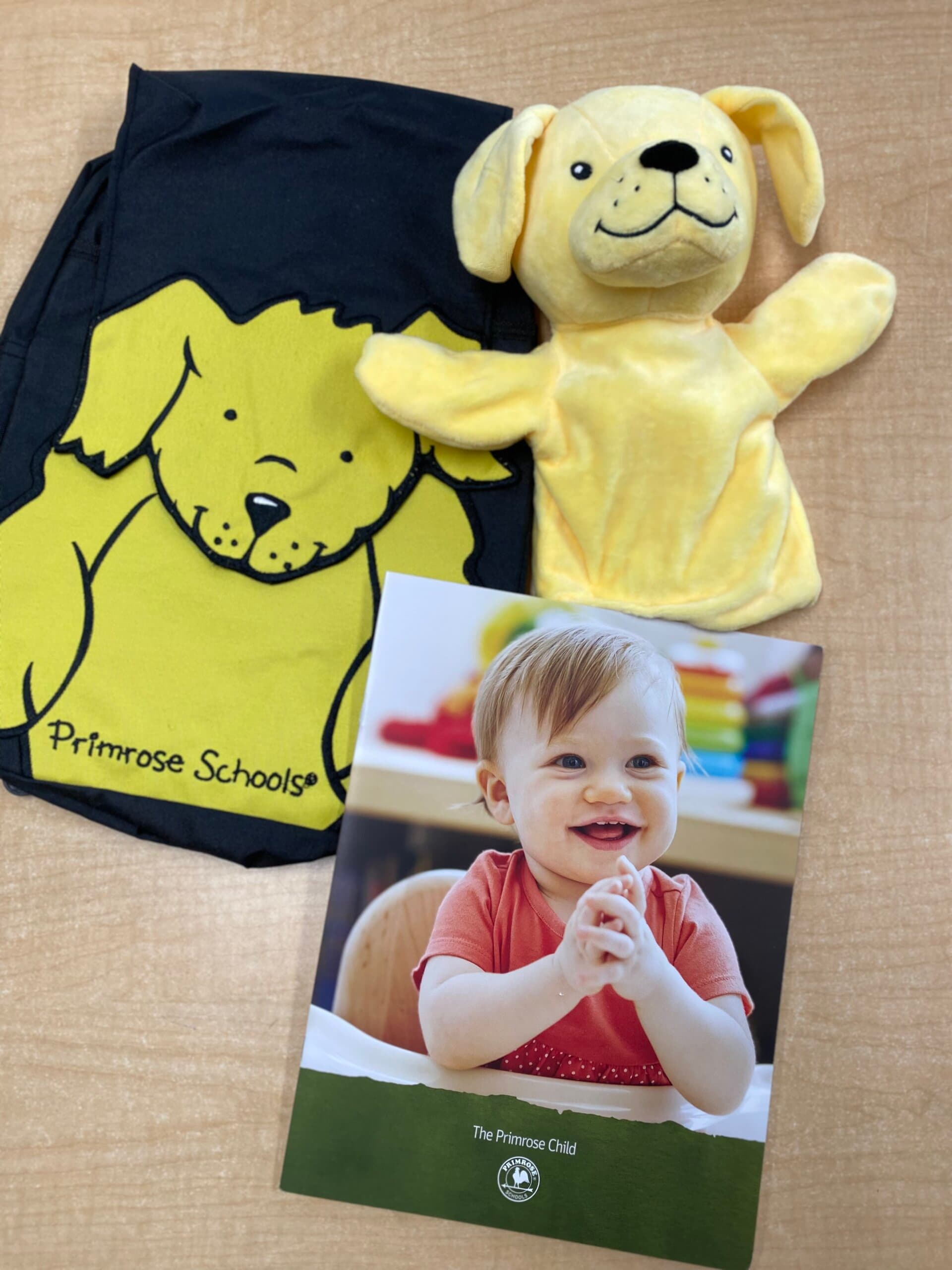 Early Preschool Welcome Primrose Castle Hills Carrollton Lewisville Texas Primrose Castle Hills Infant, Preschool, Kindergarten, Daycare, Childcare, Early Education. Carrollton, Lewisville, Dallas, Texas. 75010, 75007, 75056