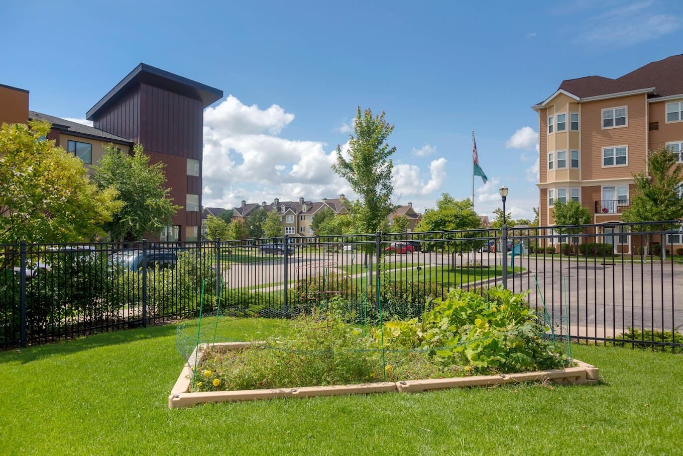 Discover how Primrose School of Woodbury uses the Primrose Patch garden to teach science and math. Proudly 4-Star Parent Aware rated for excellence in Woodbury, MN.