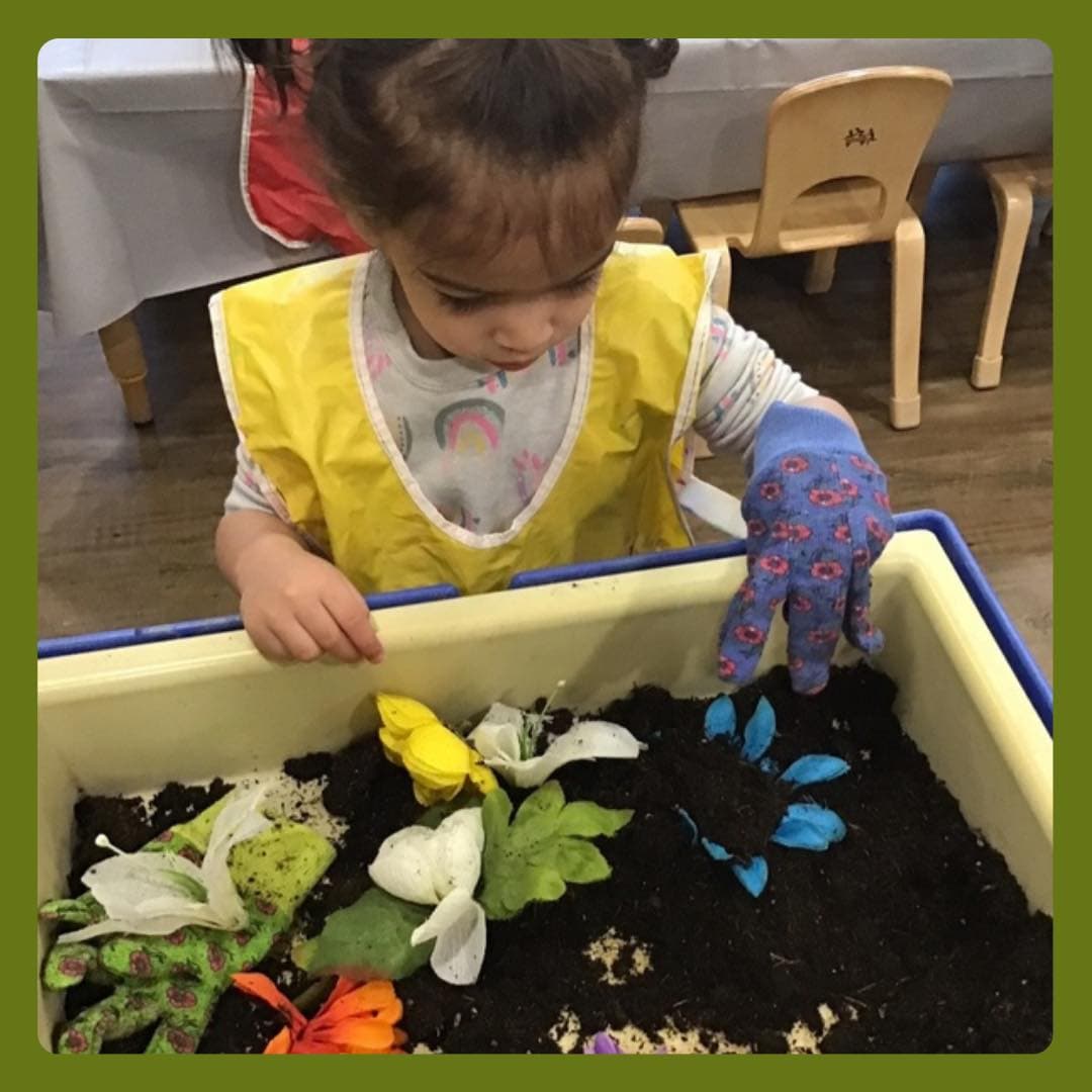 Sensory Exploration during choice learning centers