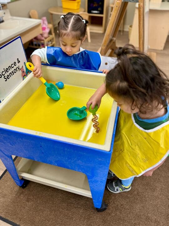 Primrose Vista Ridge-Early Preschool