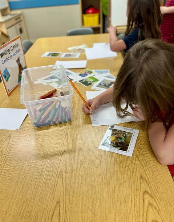Primrose Vista Ridge-Kindergarten