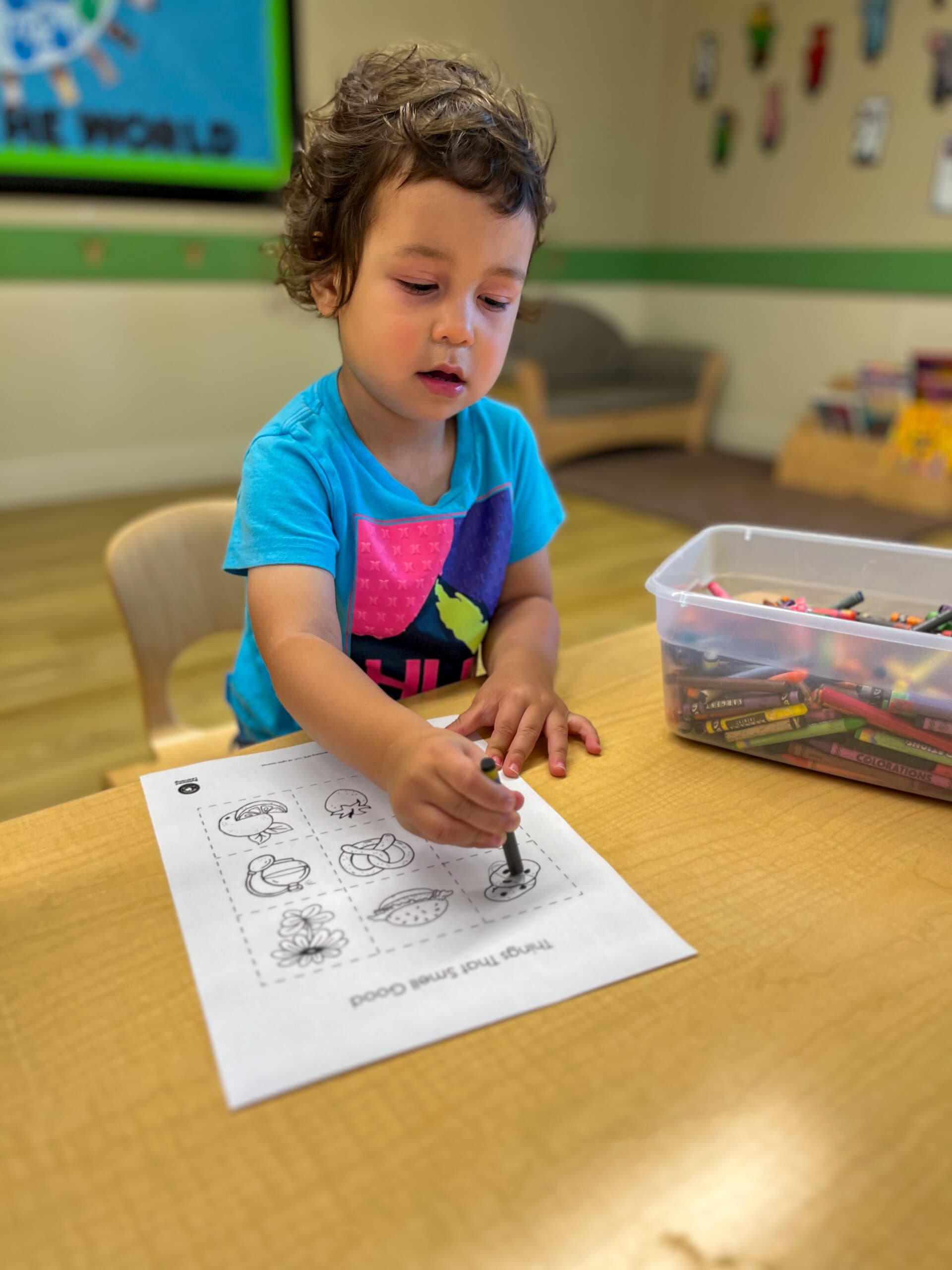Montissori Schools near me