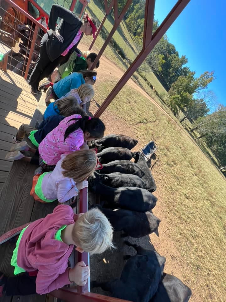 children visiting warbington farm