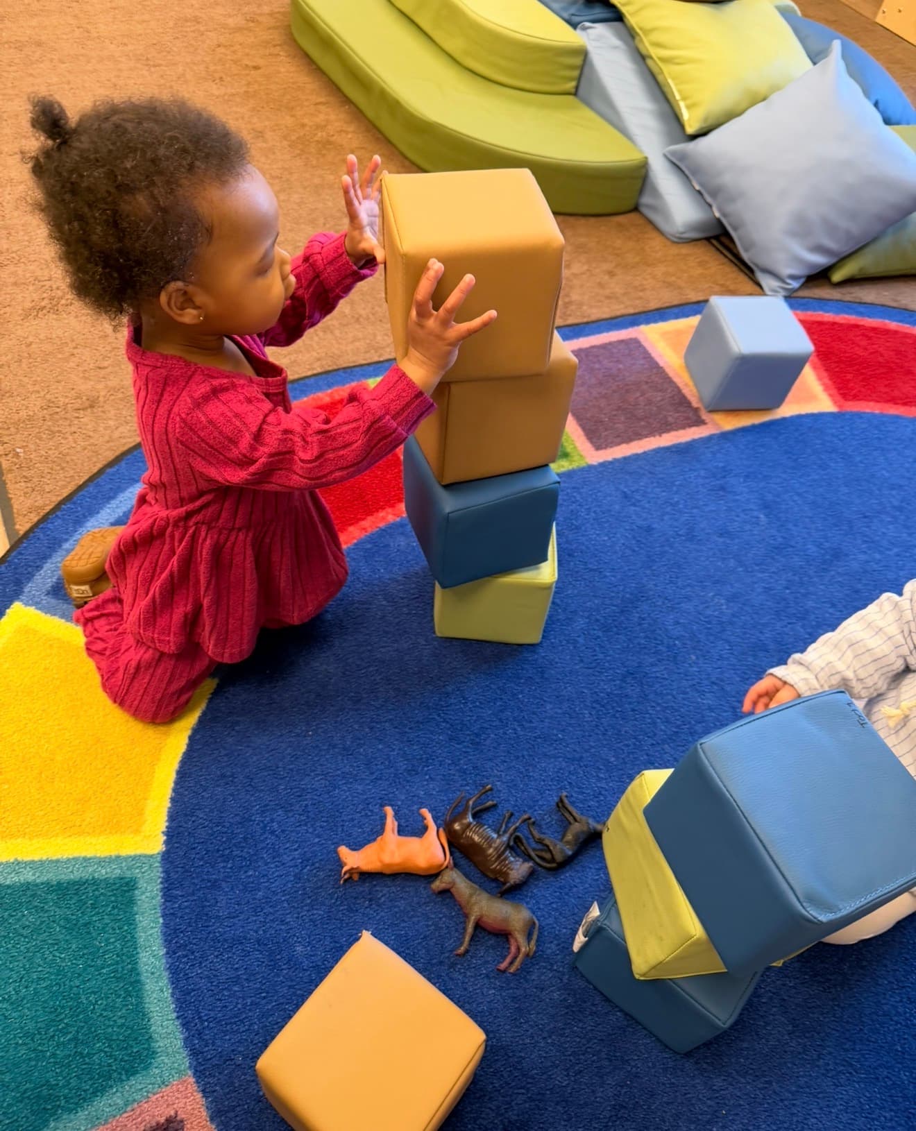 Making Animal Homes