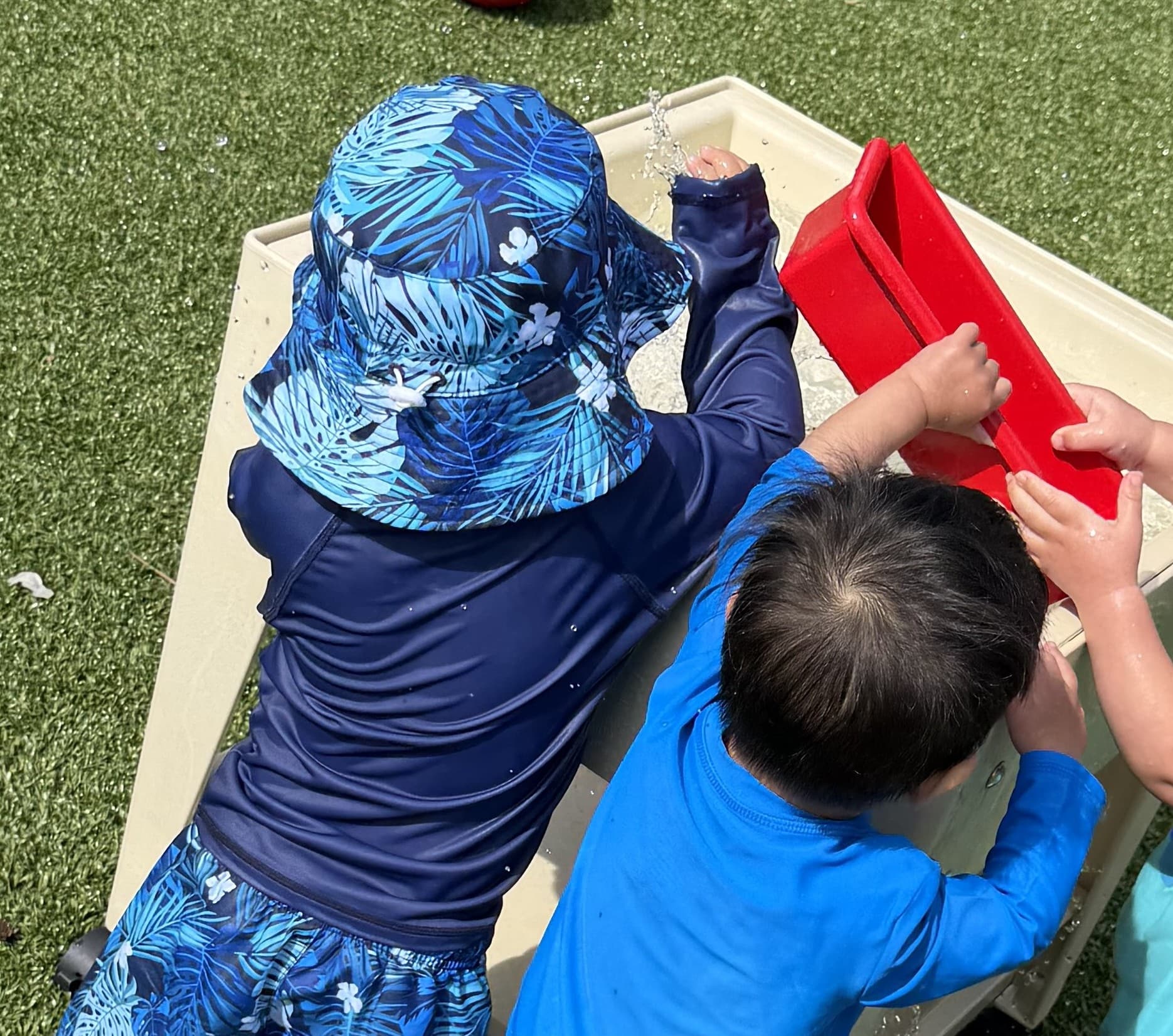 Splash Day!