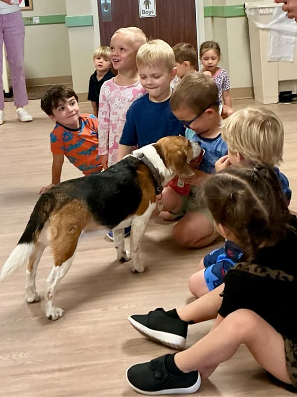 Children meeting Polly Pocket the Beagle during an educational visit from the Humane Society of Harford County.Humane Society Harford County, animal education for children, preschool enrichment programs, daycare Forest Hill MD, community partnerships, pet safety education, early childhood education, Primrose School Forest Hill