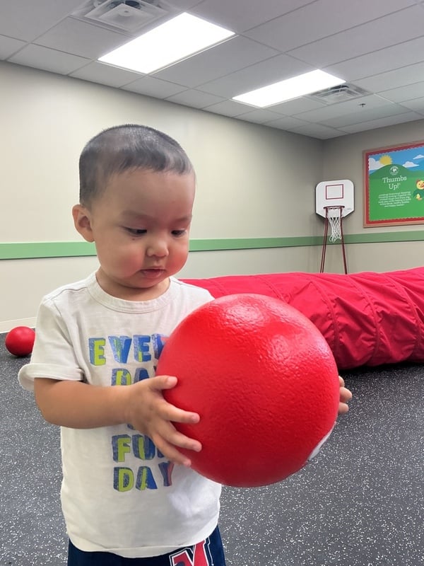 Physical Development Program at Primrose School of Clintonville for Toddlers