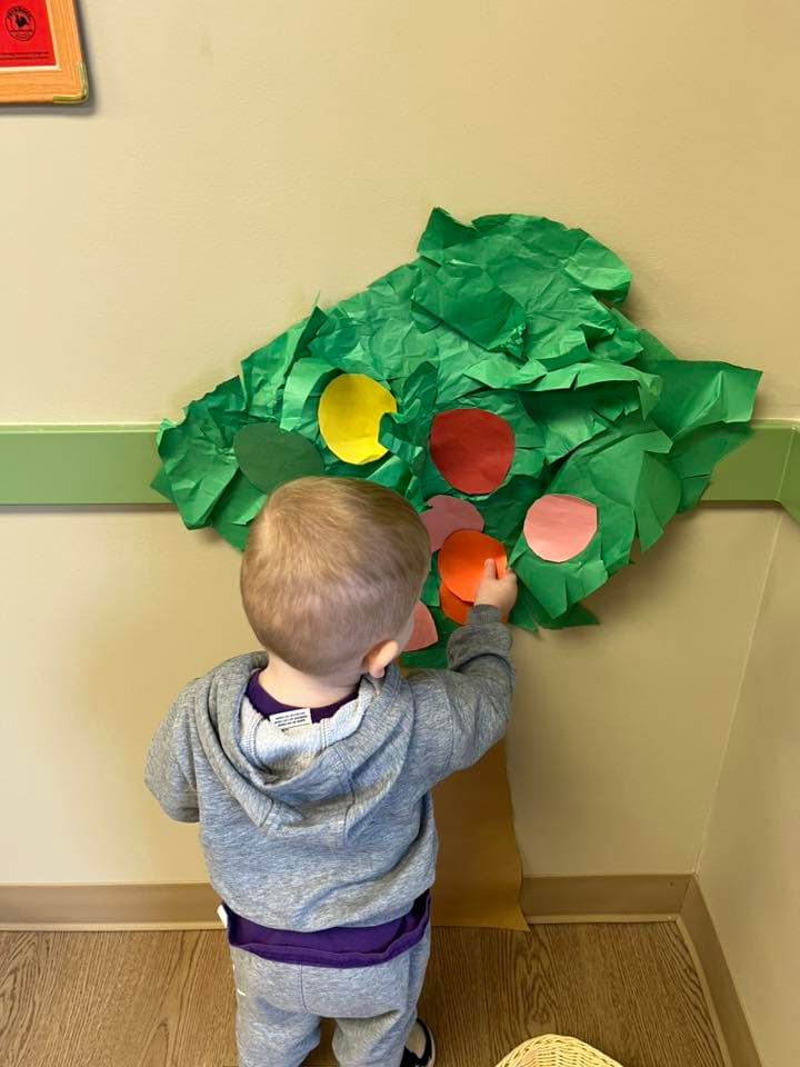 Toddler 2